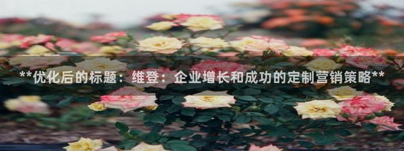 必赢科技有限公司