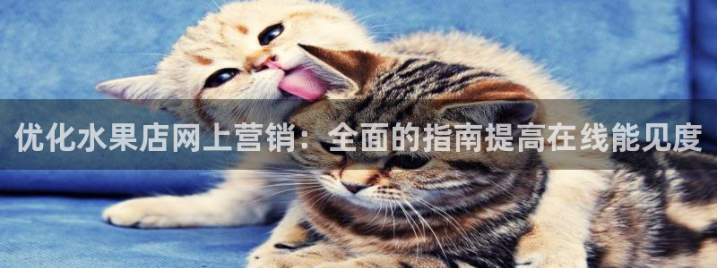 73882必赢app下载