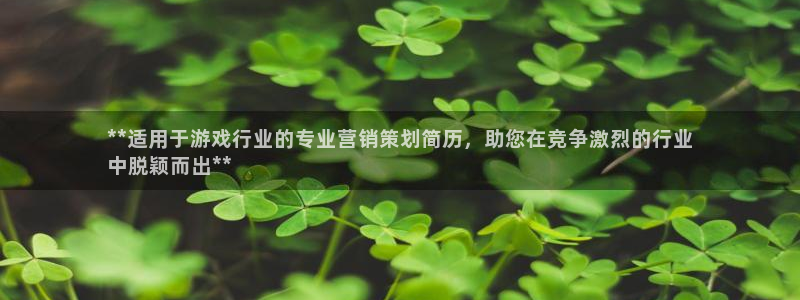 必赢公司是怎样的一家企业