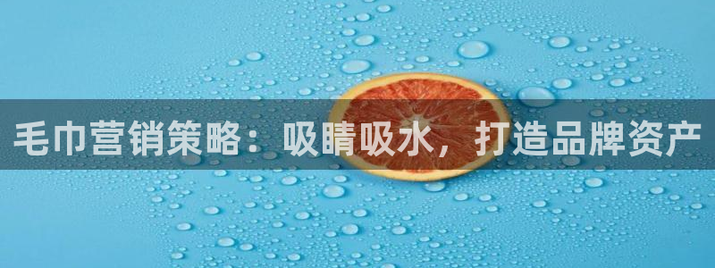 必赢国际软件下载