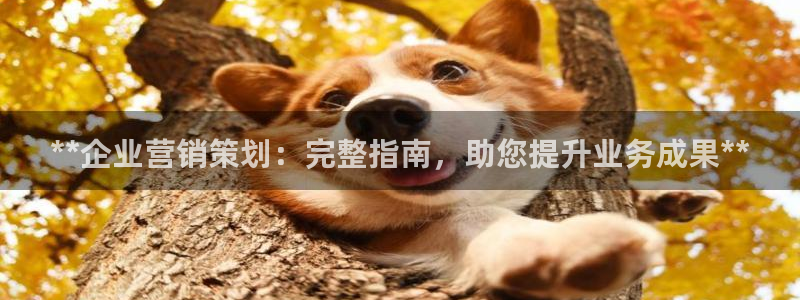必赢下载安卓版官网