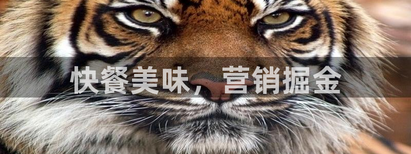必赢平台网