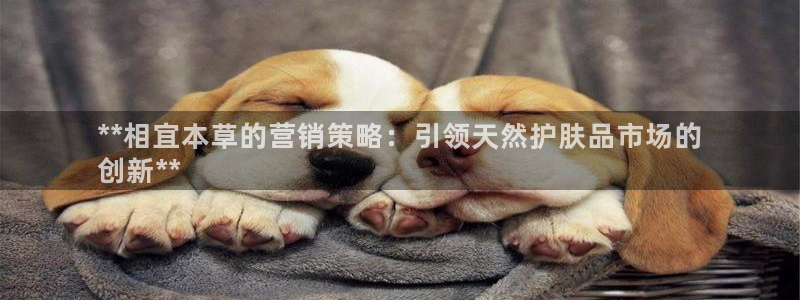 必赢亚赢网站官网下载安卓手机