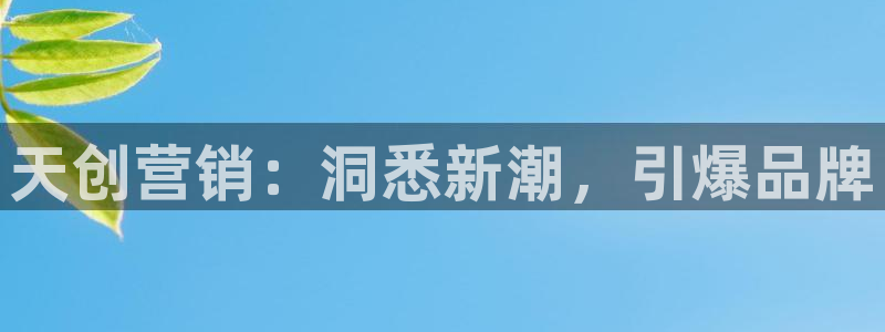 必赢3003必赢贵族宾会