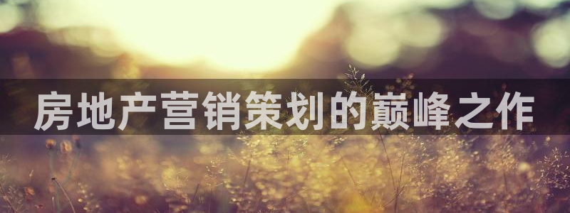 9965必赢游戏特色