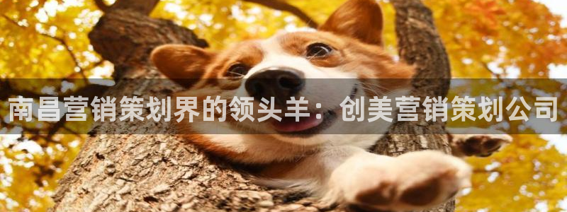 必赢亚赢网站官网下载安卓手机