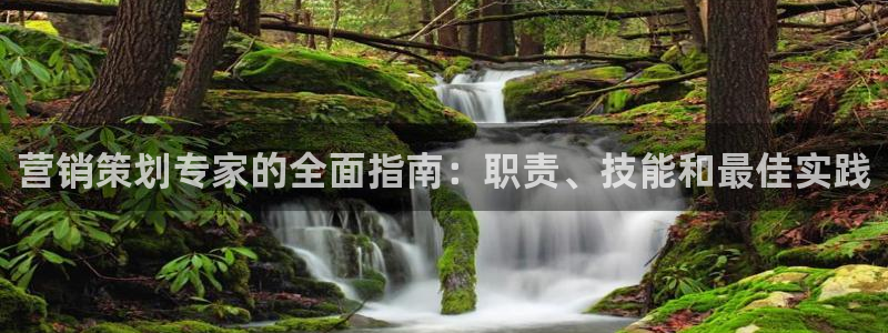 必赢这个软件怎么样