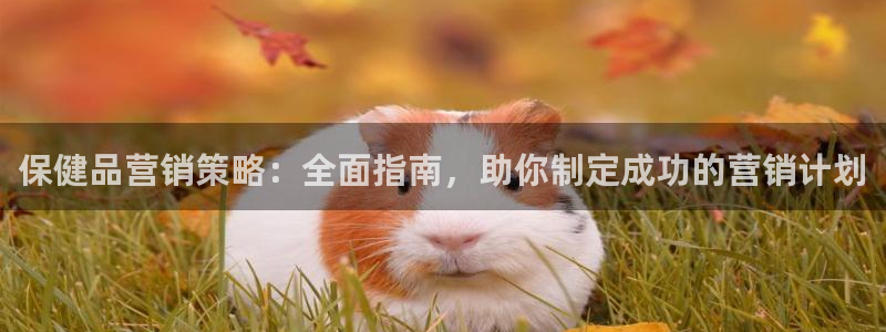 必赢网址谁知道的