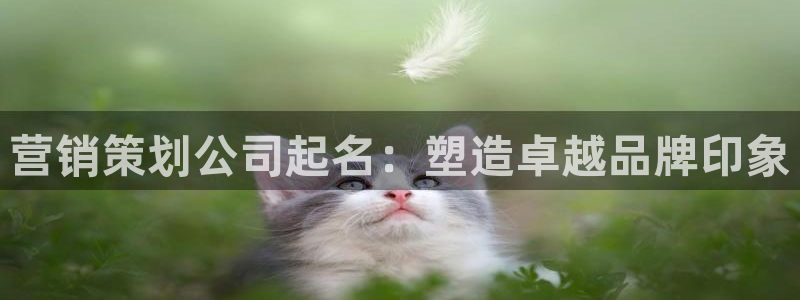 必赢app能挣钱吗安全吗