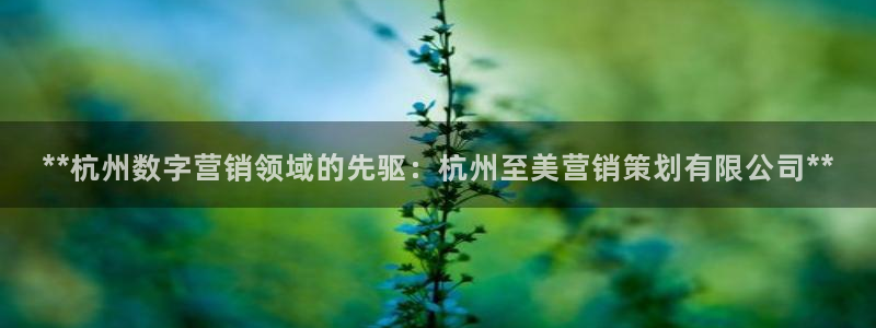 必赢.apk