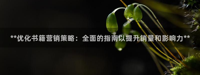 必赢集团网站