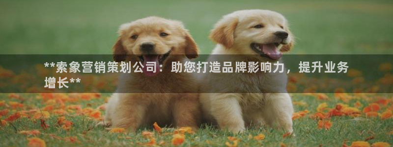 必赢官网app下载安装