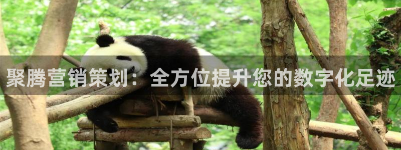 95必赢网址多少