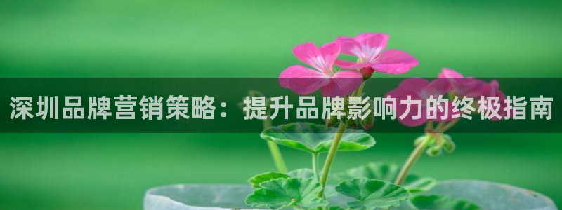 必赢官网下载app