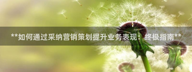必赢公司是怎样的一家企业