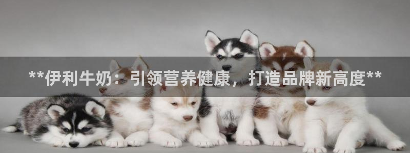 必赢这个平台怎么样知乎