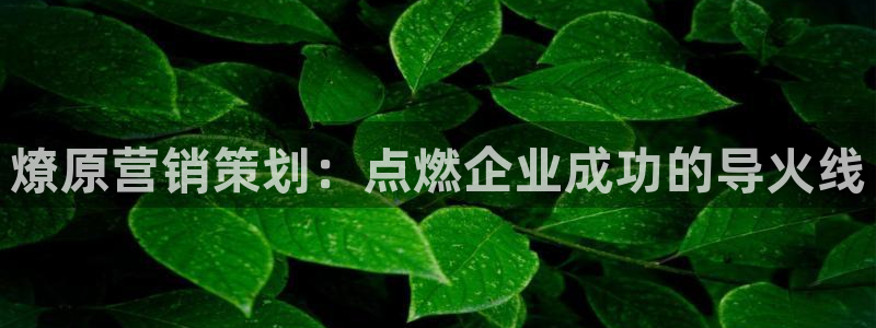 必赢这个软件怎么样知乎