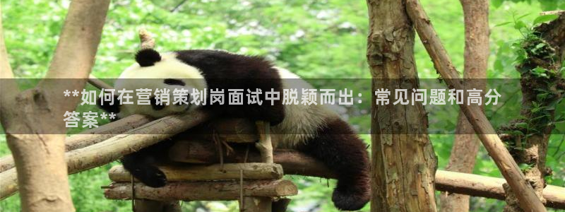 必赢官网网址8873