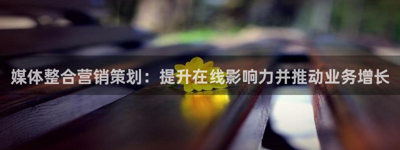 必赢科技有限公司