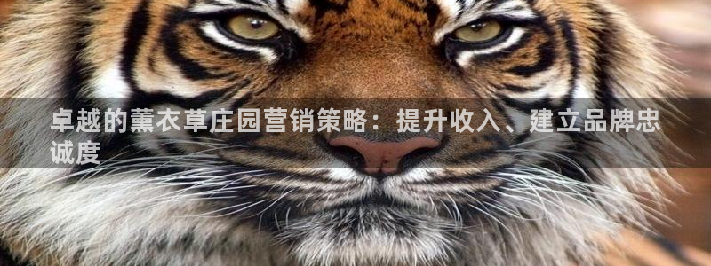 必赢这个平台怎么样啊