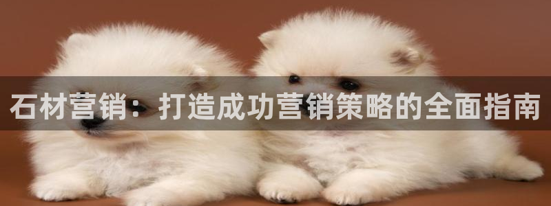 必赢网站是多少啊