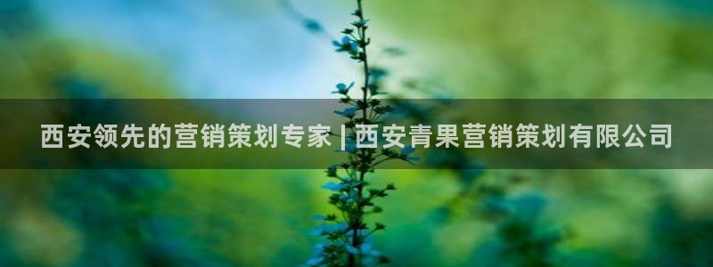 必赢棋盘9965.0版本