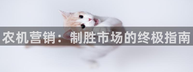 必赢国际app最新官网