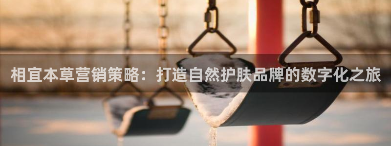 必赢手机版官网