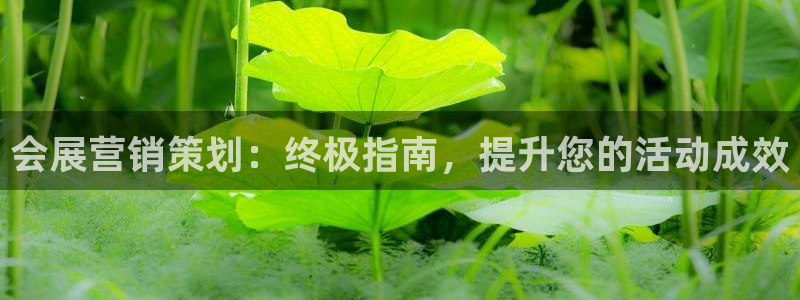 必赢网址谁知道是真的
