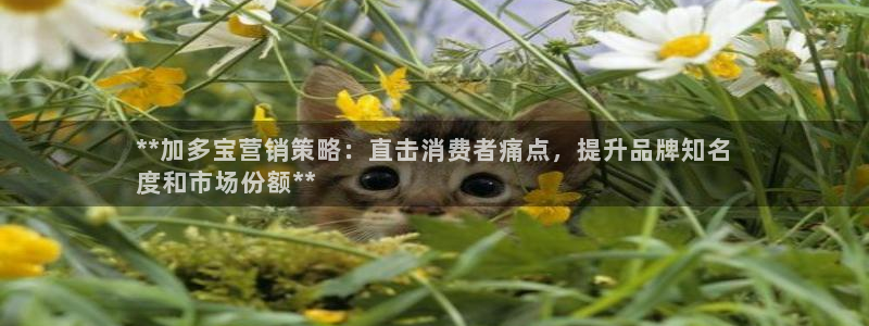必赢网址手机主页打不开