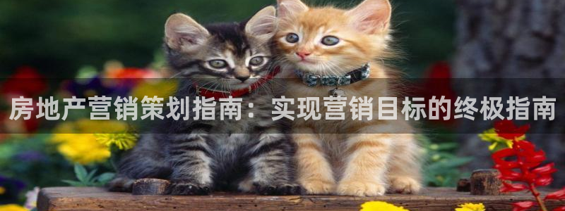必赢app官方