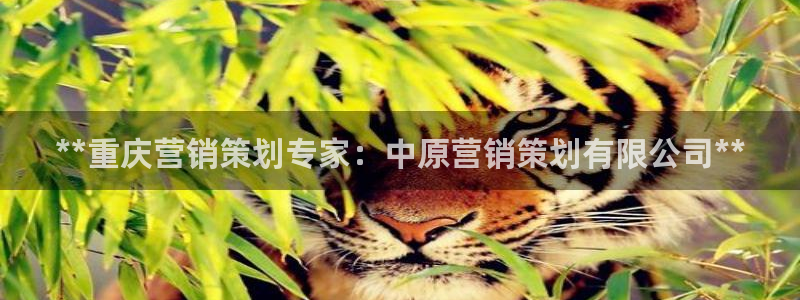 必赢官网app下载安装苹果手机