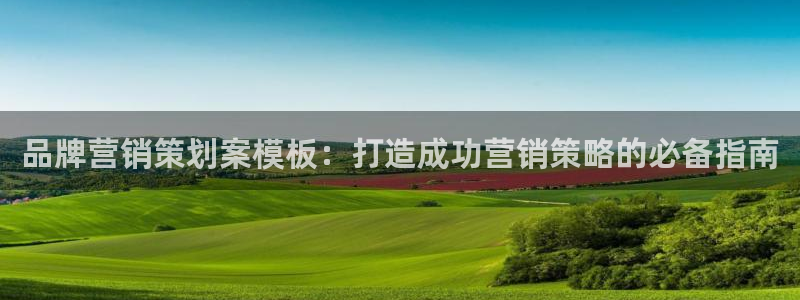 必赢国际437网页版