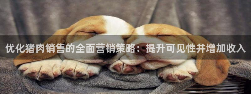必赢宝是不是合法平台