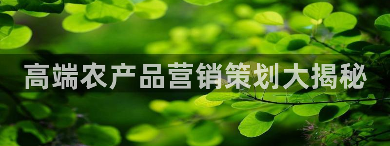 必赢网怎么打不开了