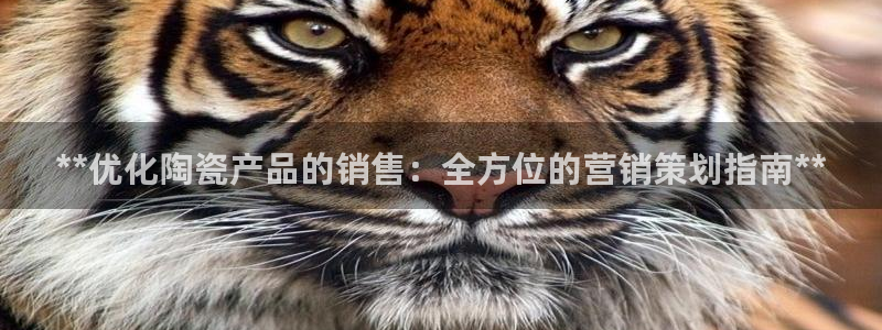 必赢官网下载