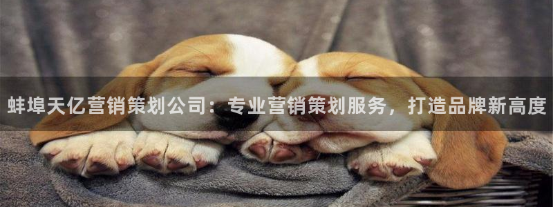 必赢平台怎么样可靠吗