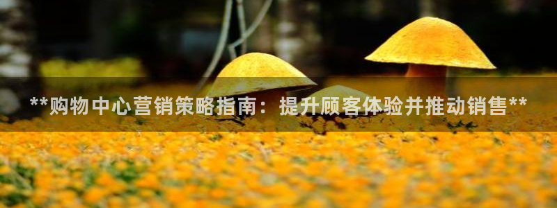 必赢线上网址是多少