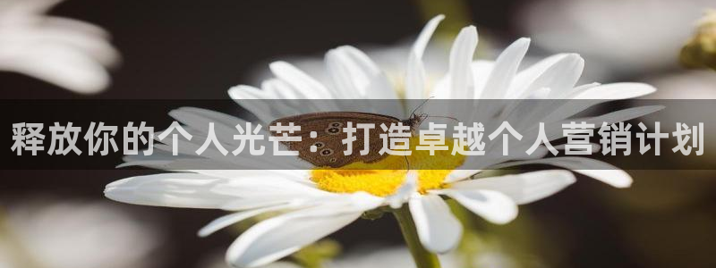 必赢平台怎么样