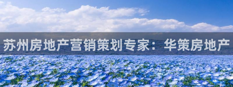 必赢网址