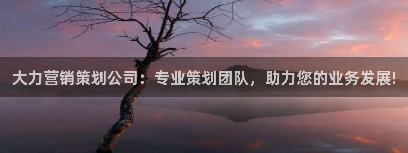 必赢最新