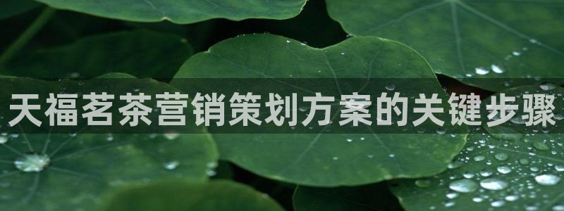 必赢国际437网页版