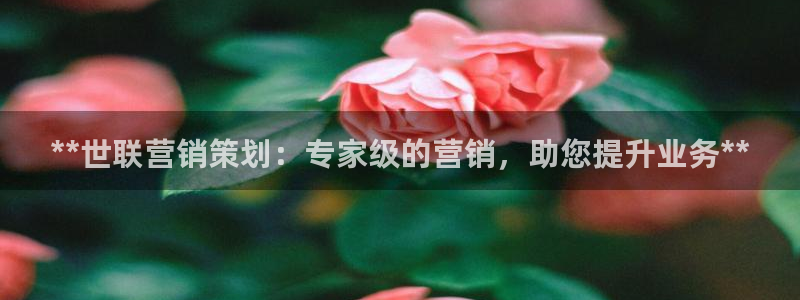 必赢网站是多少啊