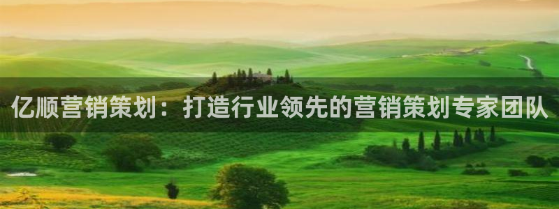 必赢网怎么打不开了