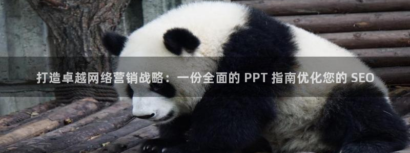 必赢7231