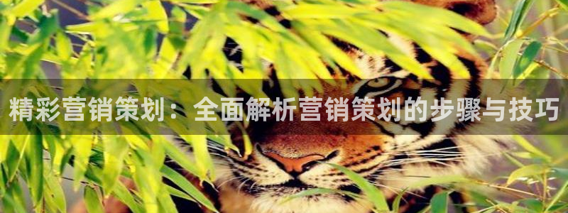 9965必赢游戏app