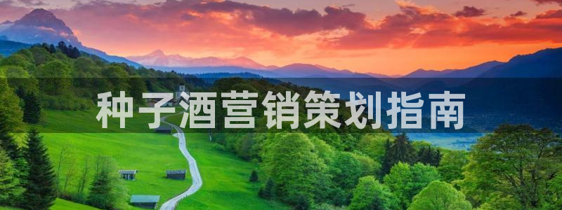 必赢官网网站入口