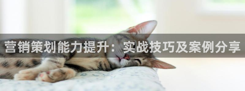 必赢官网入口下载安装