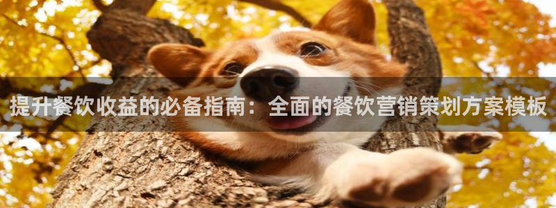 必赢官网下载app