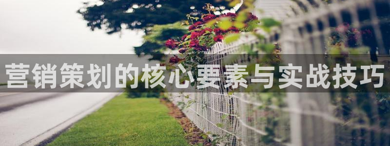 必赢网站充值是真的吗